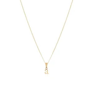 Lowercase Initial Fine Chain Necklace (Gold)